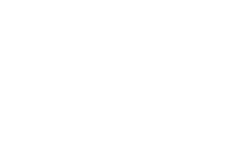 Next Level Decking Logo